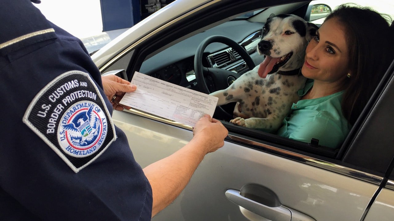UGREEN's Car Chargers: Charging Power For Every Trip