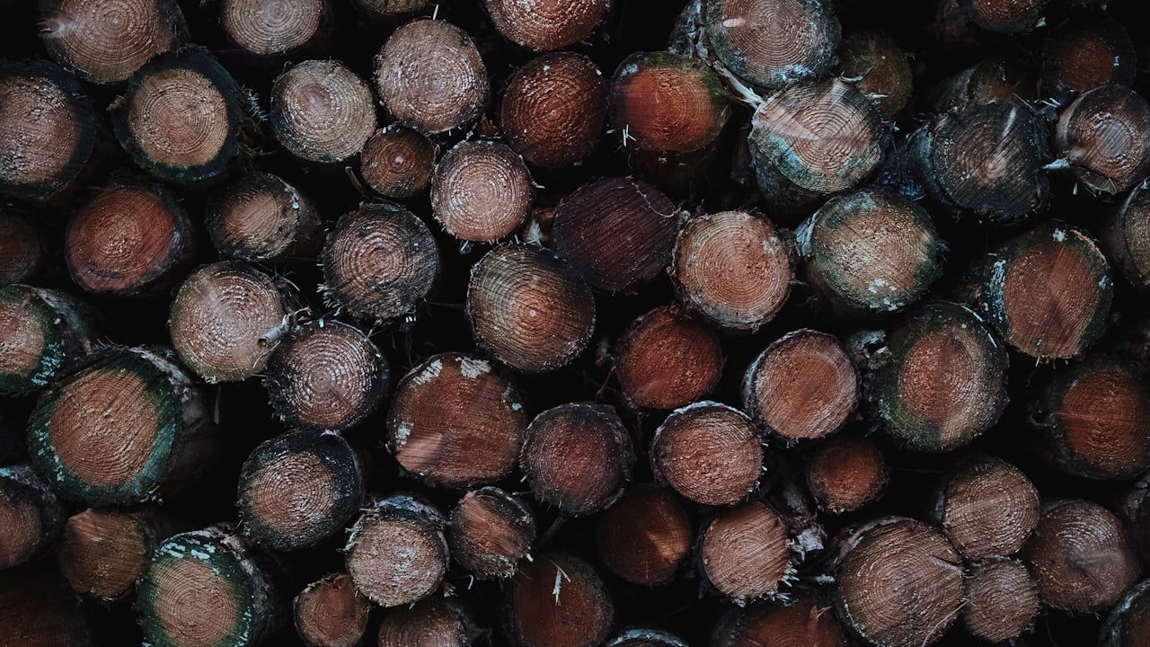 Points to Consider When Buying a Lipstick Mold Kit