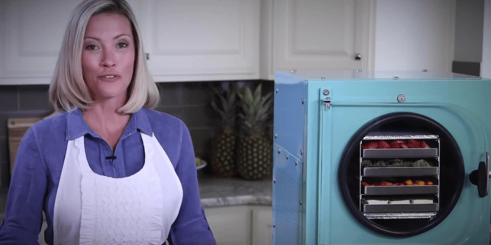 10 Creative Ways to Use a Mini Freeze Dryer Machine